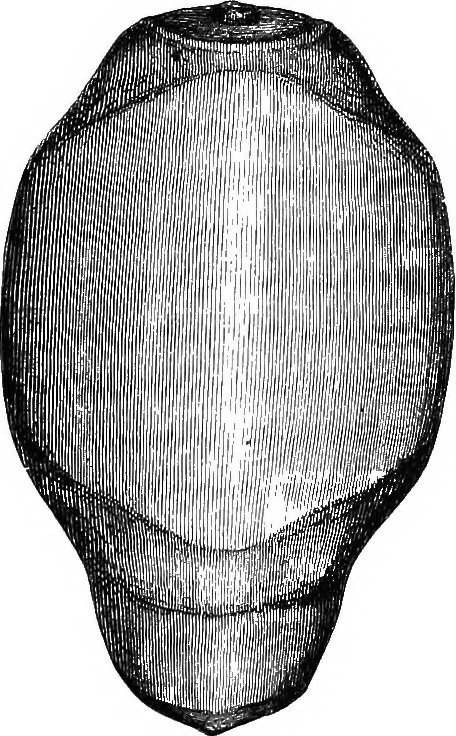 An illustration from The past in the present: what is civilisation?, 1880, leaf 150