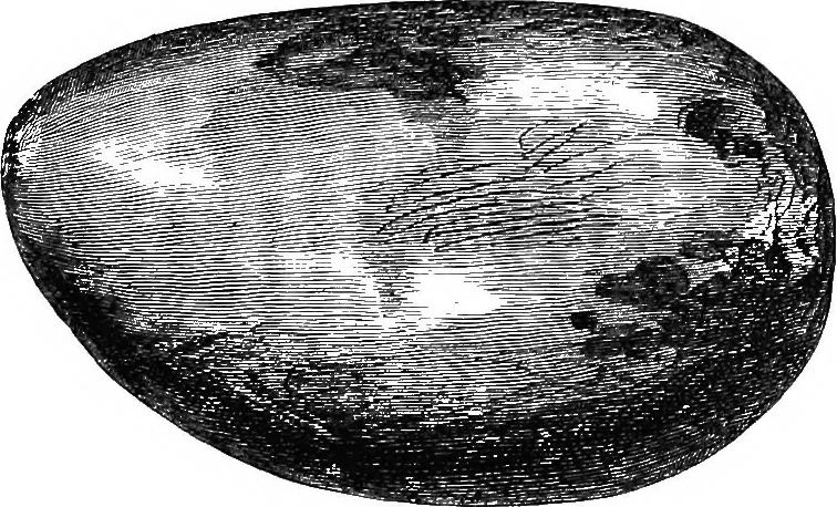 An illustration from The past in the present: what is civilisation?, 1880, leaf 154