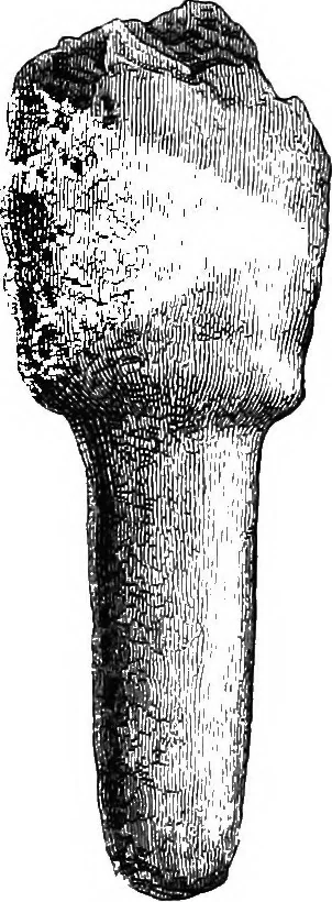 An illustration from The past in the present: what is civilisation?, 1880, leaf 163