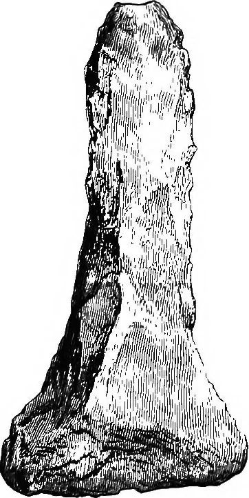 An illustration from The past in the present: what is civilisation?, 1880, leaf 164
