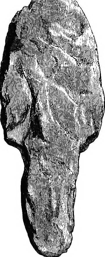 An illustration from The past in the present: what is civilisation?, 1880, leaf 164