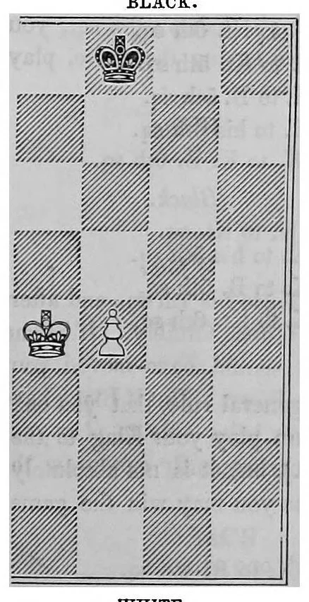 An illustration from The book of chess: containing the rudiments of the game, and elementary analyses of the most popular openings, 1858, leaf 88