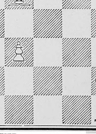 An illustration from Chess gems: Some of the finest examples of chess strategy, by ancient and modern masters, 1878, leaf 171