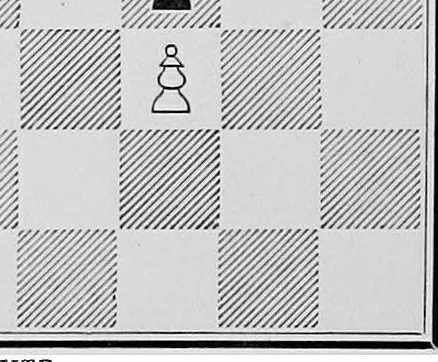 An illustration from Chess gems: Some of the finest examples of chess strategy, by ancient and modern masters, 1878, leaf 309