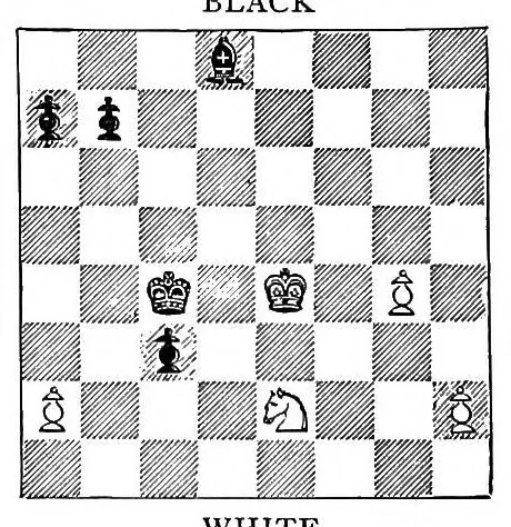 An illustration from The Hastings chess tournament 1895. Containing the authorised account of the 230 games played Aug.-Sept. 1895, 1896, leaf 363