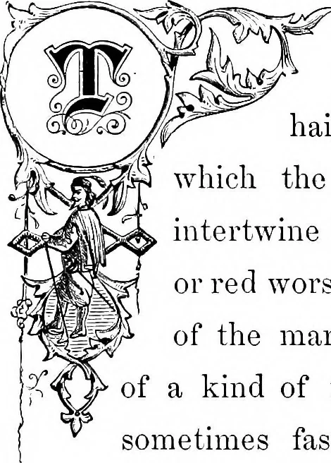 An illustration from Select historical costumes, 1868, leaf 46