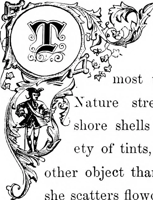 An illustration from Select historical costumes, 1868, leaf 8