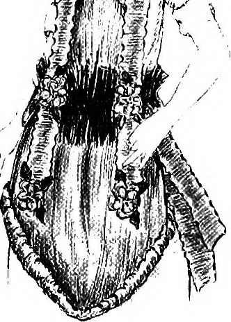 An illustration from How to make paper costumes, 1922, leaf 11