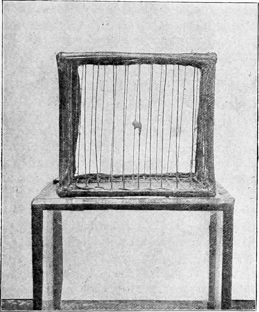 An illustration from The old and the new magic, 1906, leaf 332