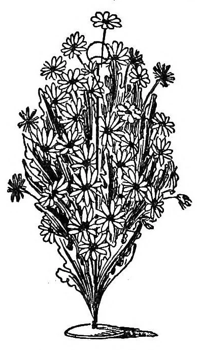 An illustration from Stage illusions, 1912, leaf 66