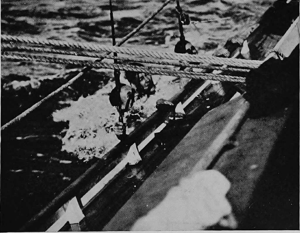 An illustration from The track of the "typhoon", 1921, leaf 264