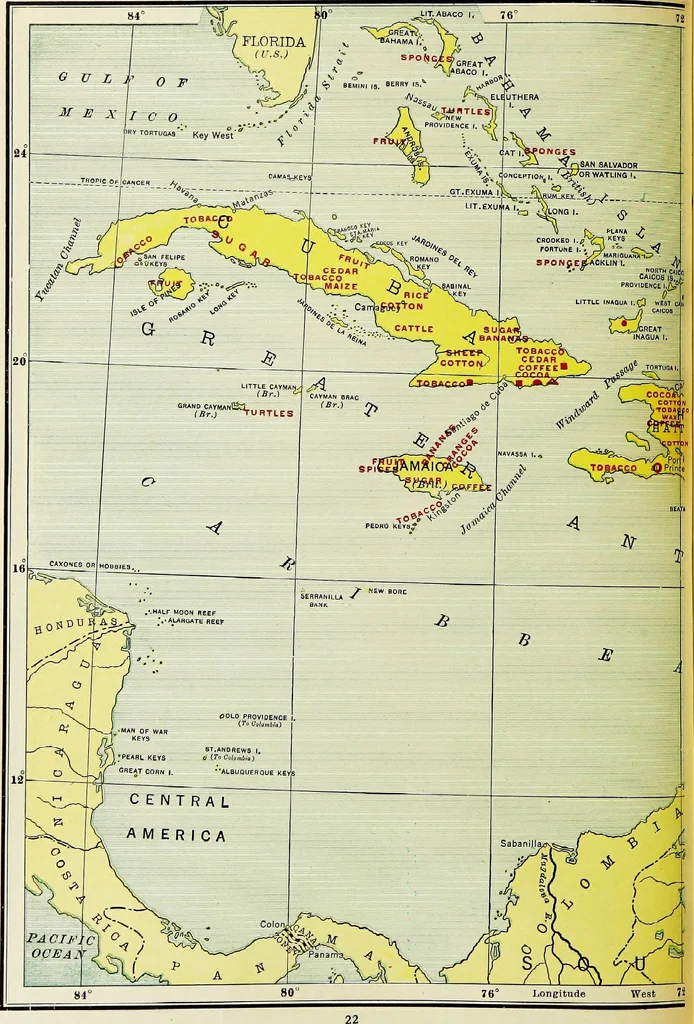 An illustration from Hammond's business atlas of economic geography: a new series of maps showing: relief of the land, temperature, rainfall, natural vegetation, productive and non-productive regions, mineral products, agricultural products, distribution of population, etc., etc, 1921, leaf 25