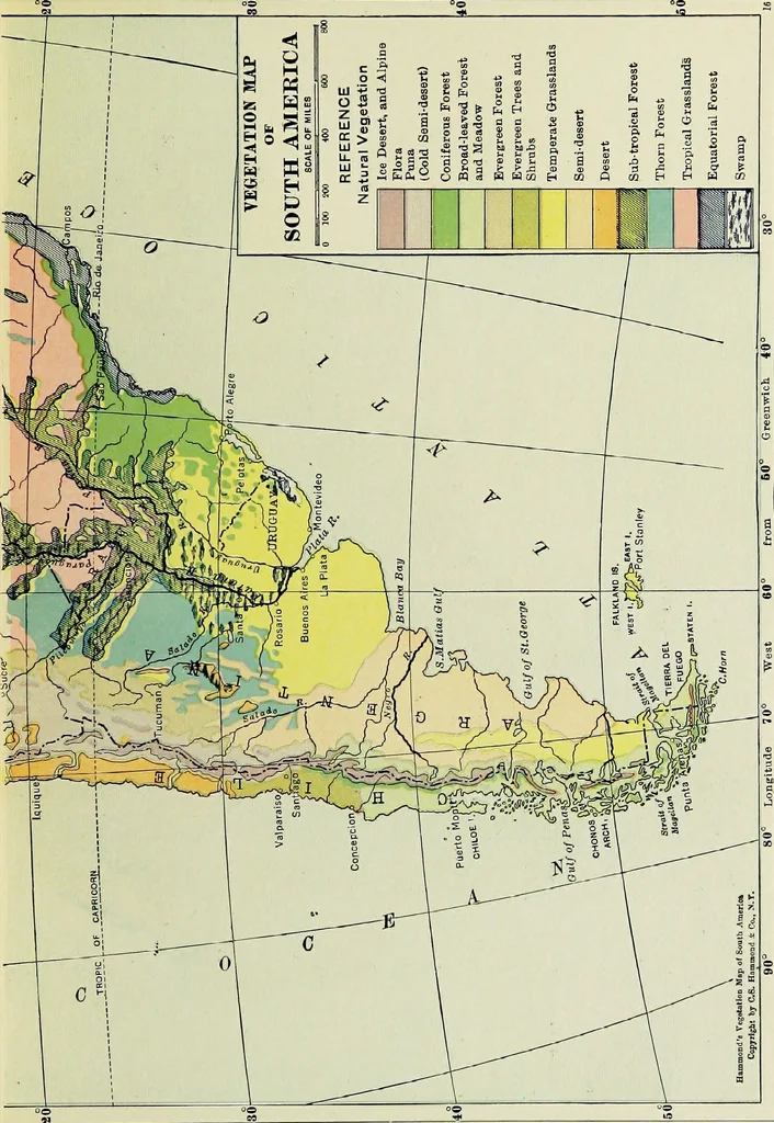 An illustration from Hammond's business atlas of economic geography: a new series of maps showing: relief of the land, temperature, rainfall, natural vegetation, productive and non-productive regions, mineral products, agricultural products, distribution of population, etc., etc, 1921, leaf 40