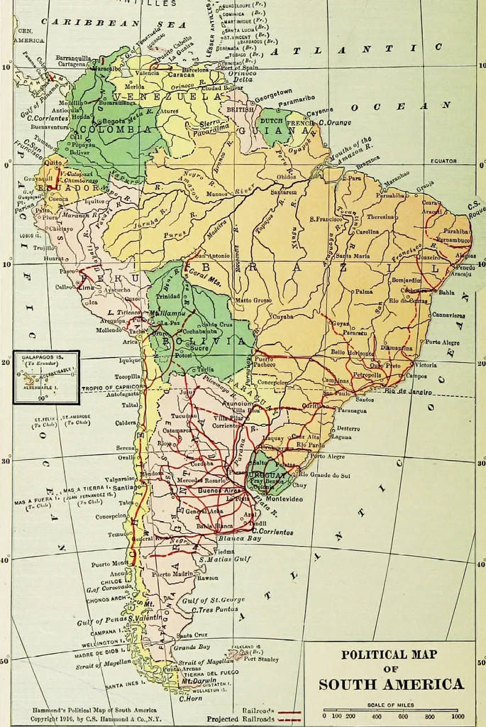 An illustration from Hammond's business atlas of economic geography: a new series of maps showing: relief of the land, temperature, rainfall, natural vegetation, productive and non-productive regions, mineral products, agricultural products, distribution of population, etc., etc, 1921, leaf 45
