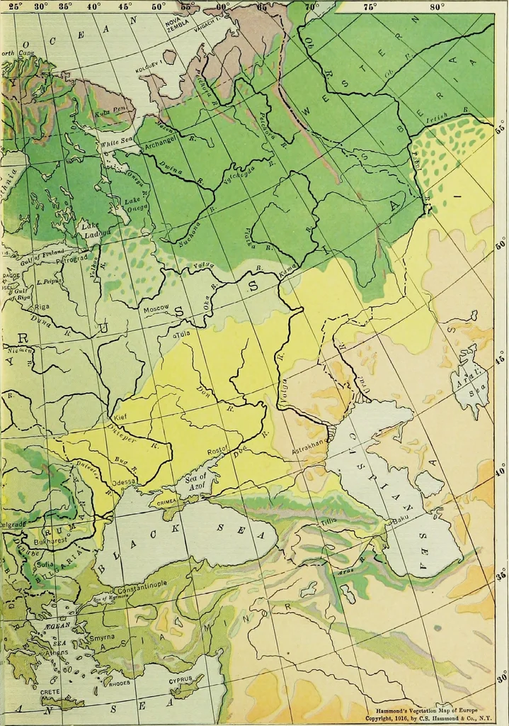 An illustration from Hammond's business atlas of economic geography: a new series of maps showing: relief of the land, temperature, rainfall, natural vegetation, productive and non-productive regions, mineral products, agricultural products, distribution of population, etc., etc, 1921, leaf 52