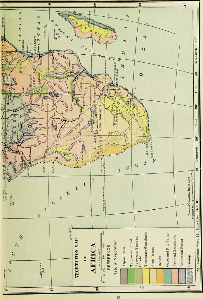 An illustration from Hammond's business atlas of economic geography: a new series of maps showing: relief of the land, temperature, rainfall, natural vegetation, productive and non-productive regions, mineral products, agricultural products, distribution of population, etc., etc, 1921, leaf 68