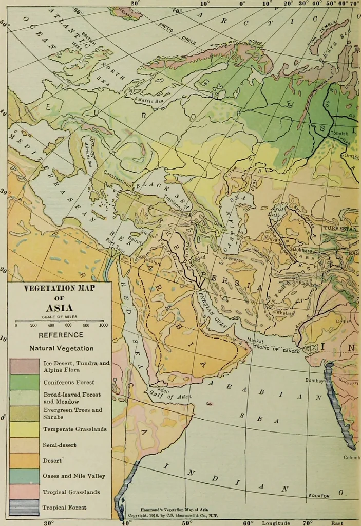 An illustration from Hammond's business atlas of economic geography: a new series of maps showing: relief of the land, temperature, rainfall, natural vegetation, productive and non-productive regions, mineral products, agricultural products, distribution of population, etc., etc, 1921, leaf 81