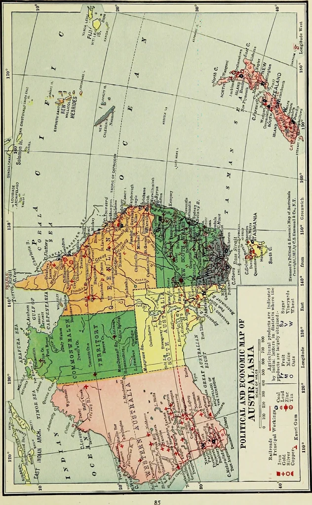 An illustration from Hammond's business atlas of economic geography: a new series of maps showing: relief of the land, temperature, rainfall, natural vegetation, productive and non-productive regions, mineral products, agricultural products, distribution of population, etc., etc, 1921, leaf 88