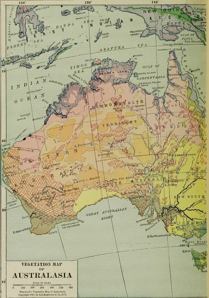 An illustration from Hammond's business atlas of economic geography: a new series of maps showing: relief of the land, temperature, rainfall, natural vegetation, productive and non-productive regions, mineral products, agricultural products, distribution of population, etc., etc, 1921, leaf 91