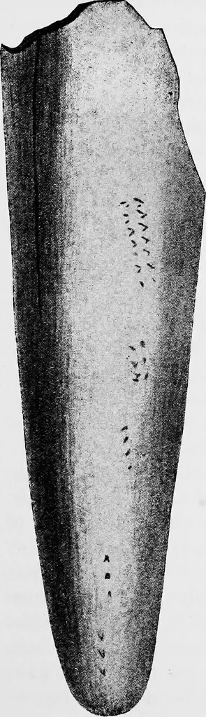 An illustration from Art and man; comparative art studies, 1918, leaf 186
