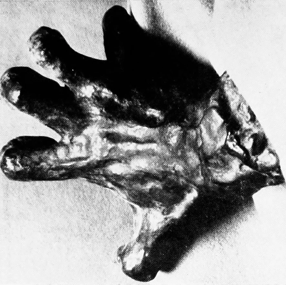 An illustration from Art, 1912, leaf 254