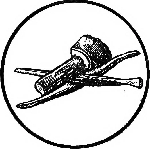 An illustration from Thomas Woolner, R.A., sculptor and poet; his life in letters, 1917, leaf 460