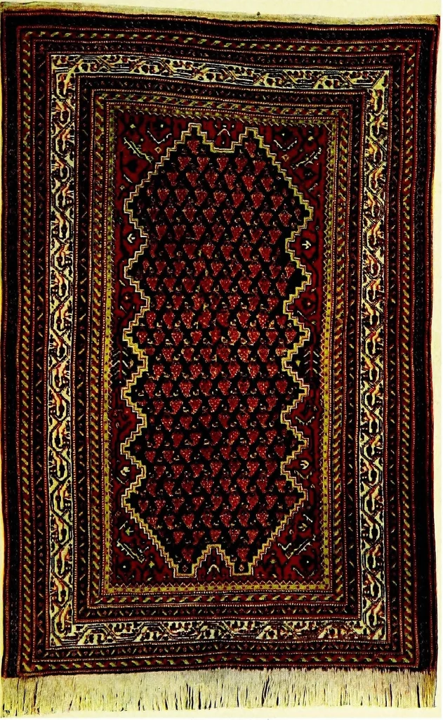An illustration from How to know oriental rugs, a handbook, 1904, leaf 100