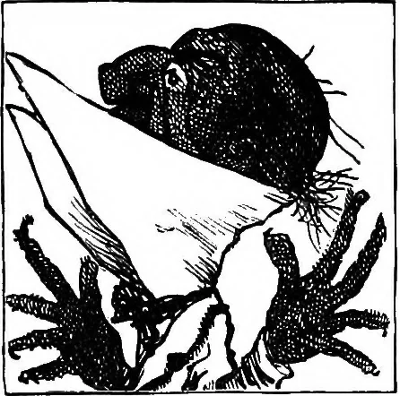 An illustration from M.P.'s in session, from Mr. Punch's parliamentary portrait gallery, 1889, leaf 28