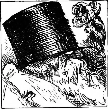 An illustration from M.P.'s in session, from Mr. Punch's parliamentary portrait gallery, 1889, leaf 28