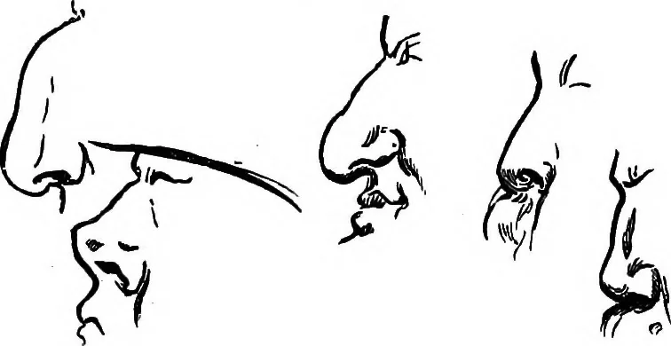 An illustration from M.P.'s in session, from Mr. Punch's parliamentary portrait gallery, 1889, leaf 74