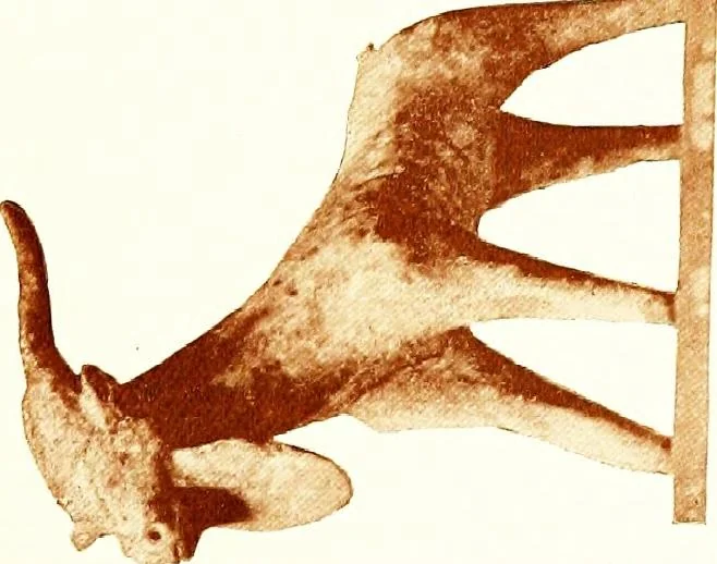 An illustration from Greek terracotta statuettes, 1899, leaf 133