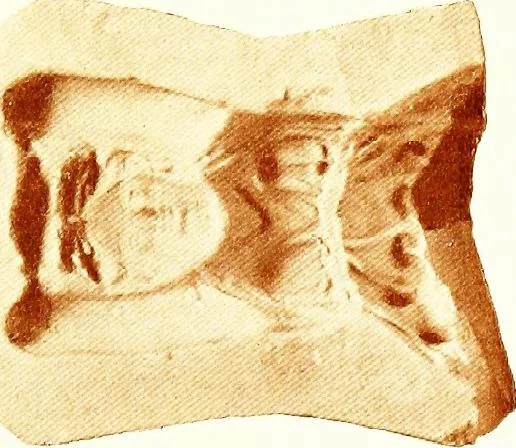 An illustration from Greek terracotta statuettes, 1899, leaf 137