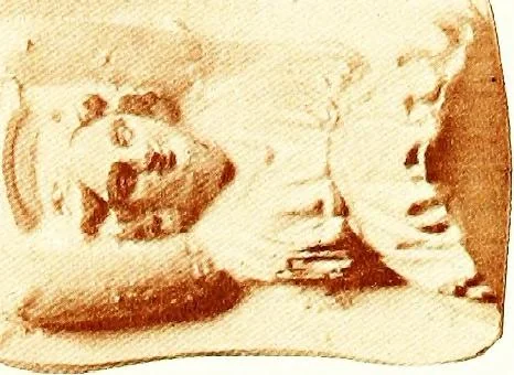 An illustration from Greek terracotta statuettes, 1899, leaf 137