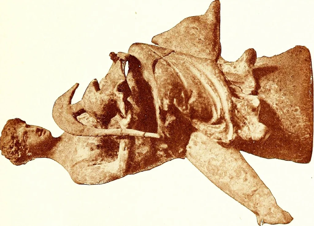 An illustration from Greek terracotta statuettes, 1899, leaf 161
