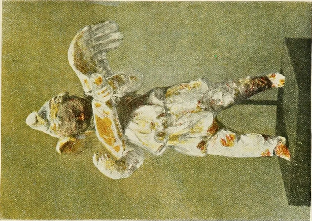 An illustration from Greek terracotta statuettes, 1899, leaf 77