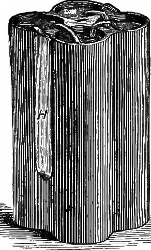 An illustration from Electricity in modern life, 1890, leaf 248
