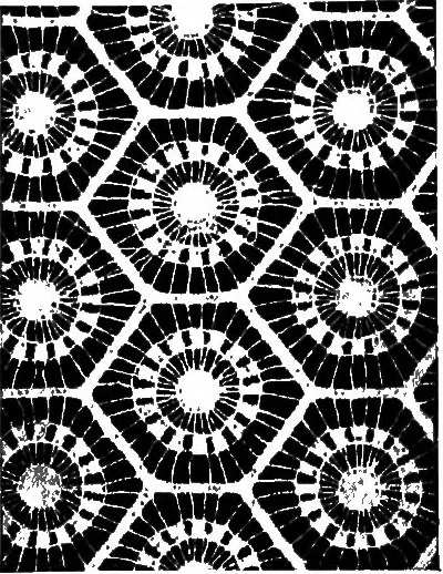 An illustration from A source book of problems for geometry, based upon industrial design and architectural ornament, 1912, leaf 29