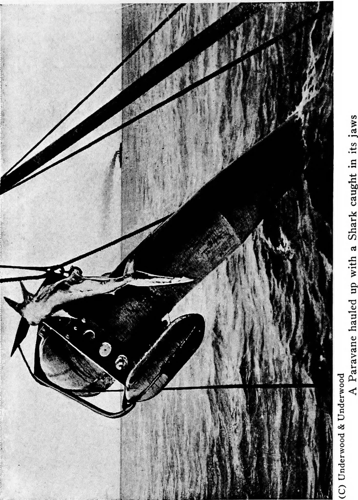 An illustration from Inventions of the great war, 1919, leaf 343