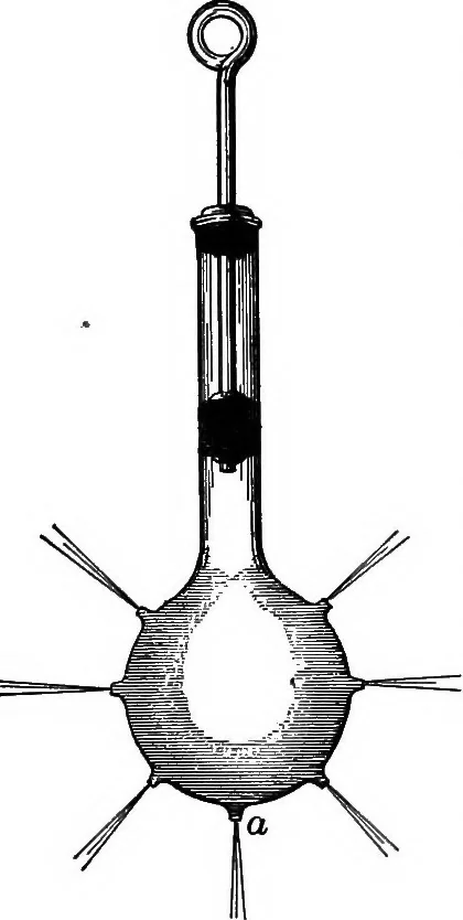An illustration from The principles of physics, 1895, leaf 159