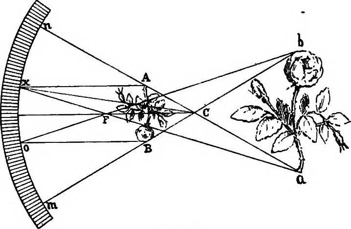 An illustration from The principles of physics, 1895, leaf 362