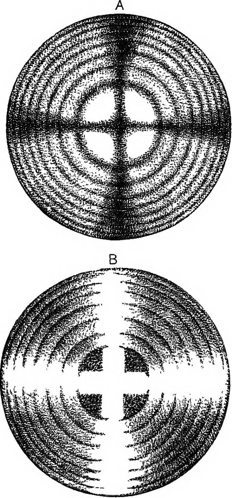 An illustration from The principles of physics, 1895, leaf 433