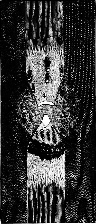 An illustration from The principles of physics, 1895, leaf 609