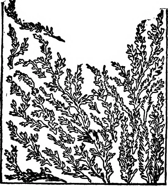 An illustration from The seven follies of science; to which is added a small budget of interesting paradoxes, illusions, marvels, and popular fallacies. A popular account of the most famous scientific impossibilities and the attempts which have been made to solve them. With numerous illustrations, 1912, leaf 122