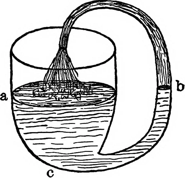 An illustration from The seven follies of science; to which is added a small budget of interesting paradoxes, illusions, marvels, and popular fallacies. A popular account of the most famous scientific impossibilities and the attempts which have been made to solve them. With numerous illustrations, 1912, leaf 60