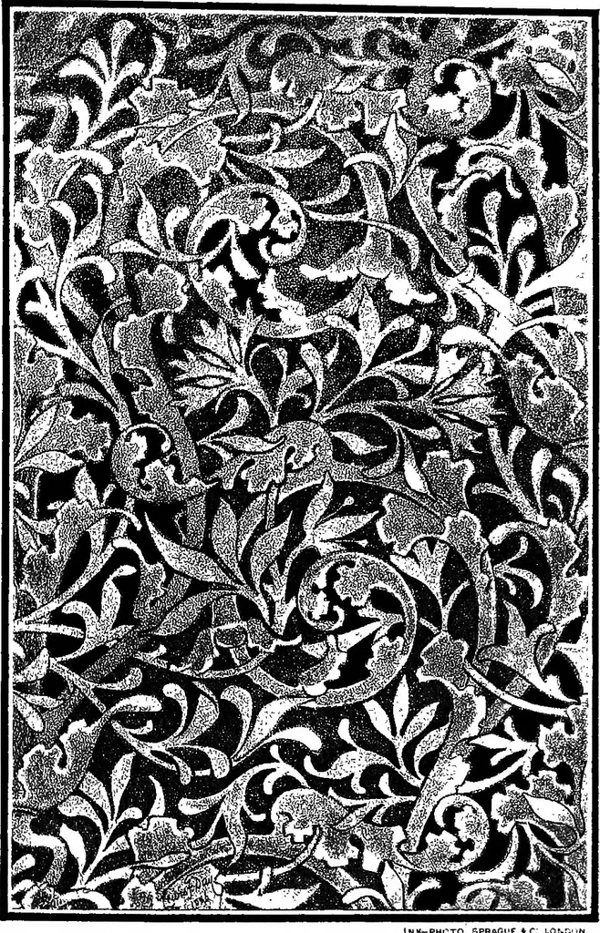 An illustration from The anatomy of pattern, 1887, leaf 118