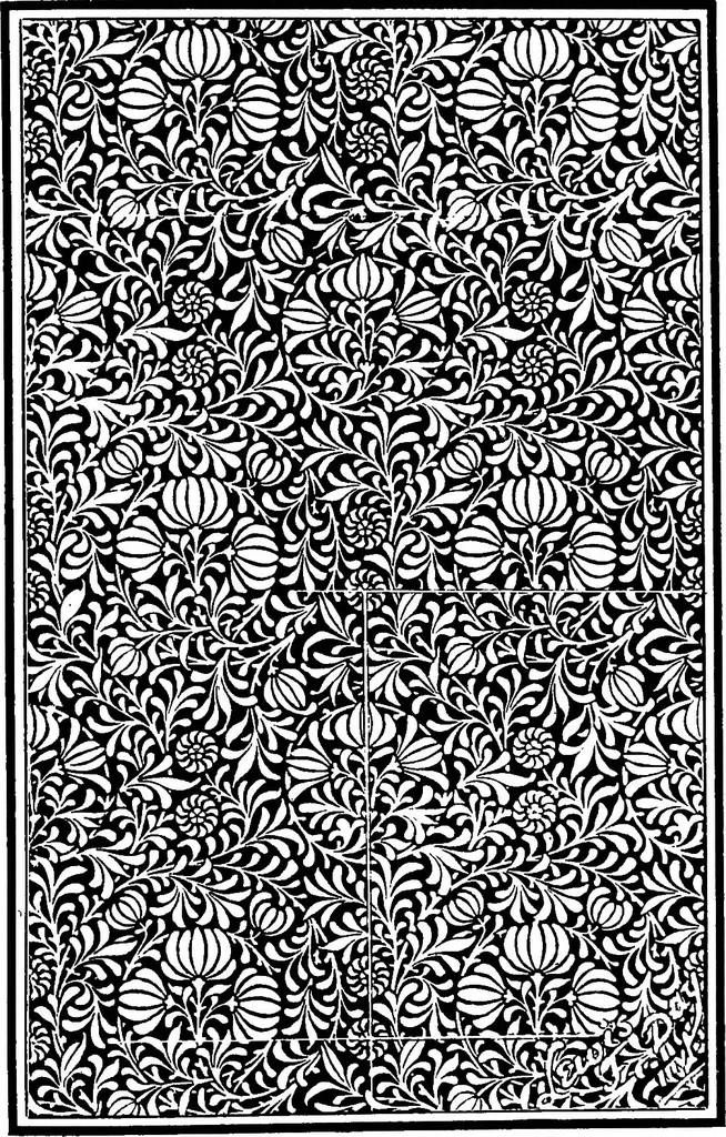 An illustration from The anatomy of pattern, 1887, leaf 36