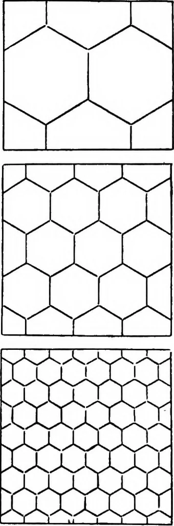 An illustration from The anatomy of pattern, 1887, leaf 88