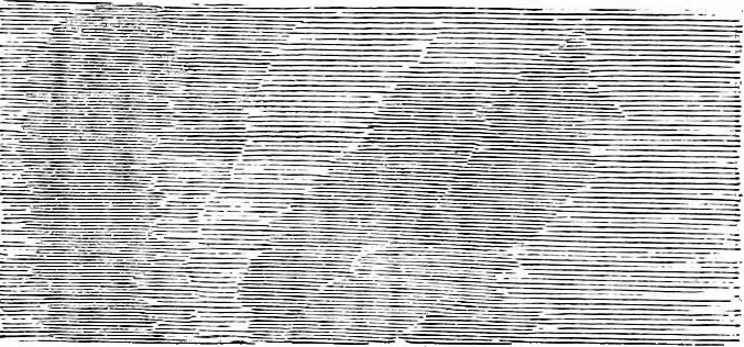 An illustration from A manual of instruction in the art of wood engraving. With a description of the necessary tools and apparatus, and concise directions for their use; explanation of the terms used, and the methods employed for producing the various classes of wood engravings, 1867, leaf 29