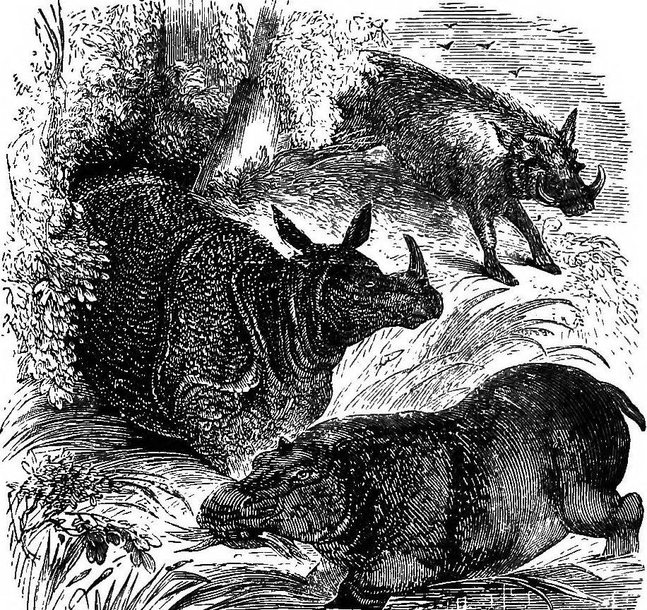 An illustration from A manual of instruction in the art of wood engraving. With a description of the necessary tools and apparatus, and concise directions for their use; explanation of the terms used, and the methods employed for producing the various classes of wood engravings, 1867, leaf 42
