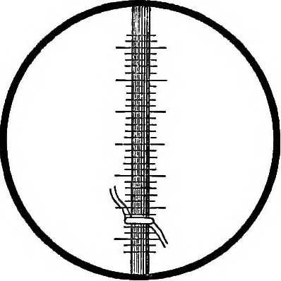 An illustration from The outlines of physics: an elementary text-book, 1897, leaf 112